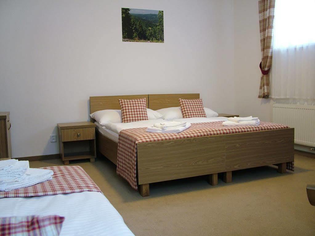 Hotel Seifert Nové Hamry エクステリア 写真